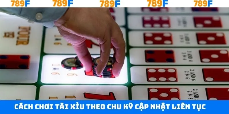 Cập nhật dữ liệu liên tục để phân tích chu kỳ