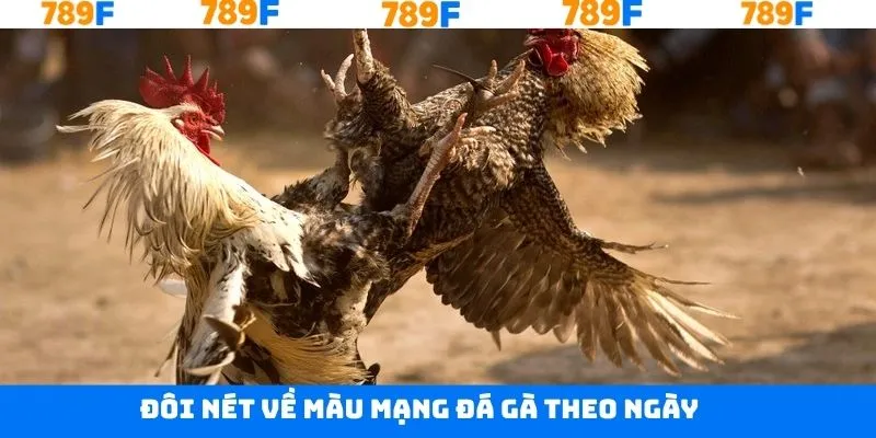 Sơ lược về việc xem màu mạng đá gà theo ngày