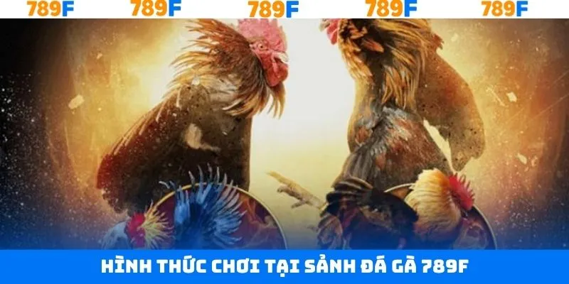 Những thể loại cá cược đang được săn đón và phổ biến nhất