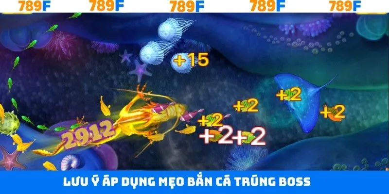 Chú ý cần thiết khi trải nghiệm săn cá lớn