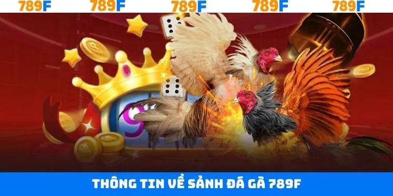 Khám phá tổng quan sảnh game đá gà 789F