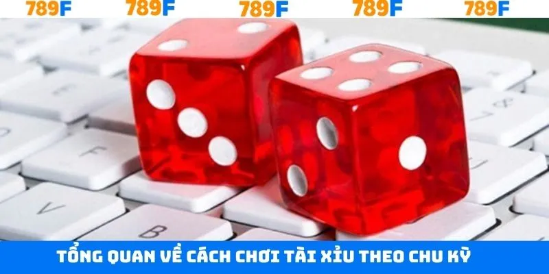 Khái quát về cách chơi tài xỉu theo chu kỳ