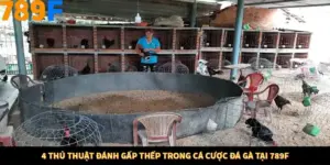 4 Thủ Thuật Đánh Gấp Thếp Trong Cá Cược Đá Gà Tại 789F