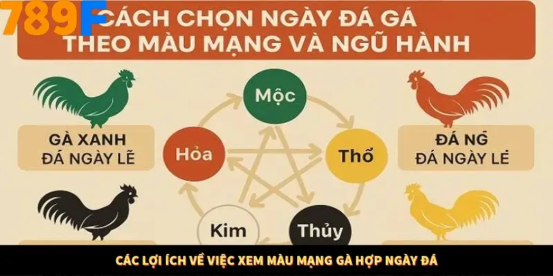Mẹo Chia Bài 3 Cây Dễ Thắng Tại Trang Chủ 789F 8 Các lợi ích về việc xem màu mạng gà hợp ngày đá
