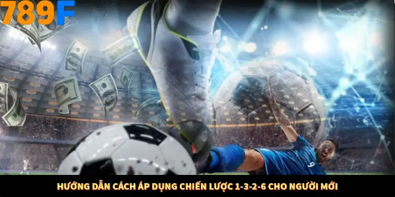 Hướng dẫn cách áp dụng chiến lược 1-3-2-6 cho người mới