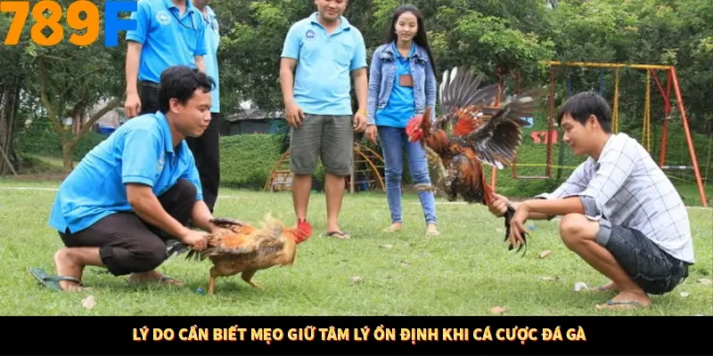 Mẹo Chia Bài 3 Cây Dễ Thắng Tại Trang Chủ 789F 7 Lý do cần biết mẹo giữ tâm lý ổn định khi cá cược đá gà