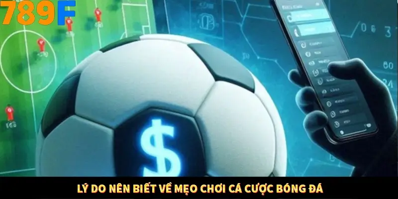 Mẹo Chia Bài 3 Cây Dễ Thắng Tại Trang Chủ 789F 7 Lý do nên biết về mẹo chơi cá cược bóng đá