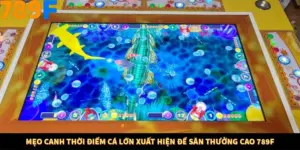 Mẹo Canh Thời Điểm Cá Lớn Xuất Hiện Để Săn Thưởng Cao 789F