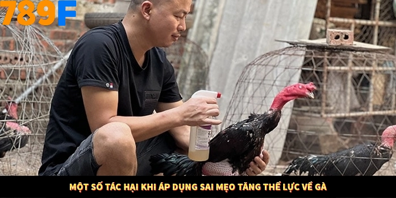 Mẹo Chia Bài 3 Cây Dễ Thắng Tại Trang Chủ 789F 9 Một số tác hại khi áp dụng sai mẹo tăng thể lực về gà