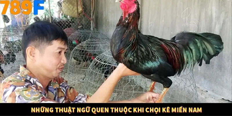 Mẹo Chia Bài 3 Cây Dễ Thắng Tại Trang Chủ 789F 8 Những thuật ngữ quen thuộc khi chọi kê miền Nam
