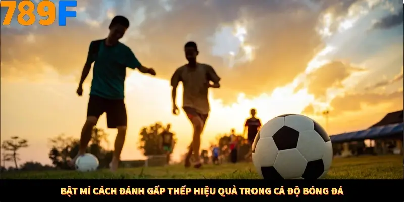 Phương Pháp Gấp Thếp Trong Cá Cược Bóng Đá - Có Nên Áp Dụng Tại 789F