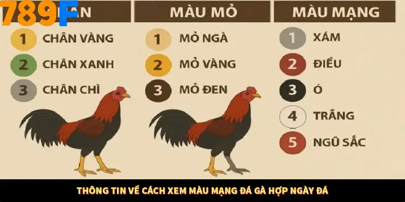 Mẹo Chia Bài 3 Cây Dễ Thắng Tại Trang Chủ 789F 7 Thông tin về cách xem màu mạng đá gà hợp ngày đá