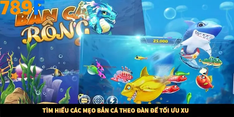 Mẹo Chia Bài 3 Cây Dễ Thắng Tại Trang Chủ 789F 8 Tìm hiểu các mẹo bắn cá theo đàn để tối ưu xu