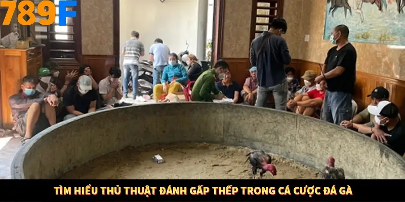 Tìm hiểu thủ thuật đánh gấp thếp trong cá cược đá gà