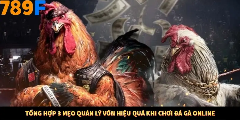 Tổng hợp 3 mẹo quản lý vốn hiệu quả khi chơi đá gà online