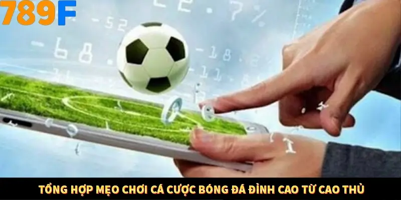 Mẹo Chia Bài 3 Cây Dễ Thắng Tại Trang Chủ 789F 8 Tổng hợp mẹo chơi cá cược bóng đá đỉnh cao từ cao thủ