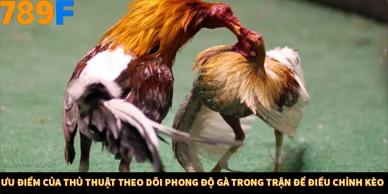 Mẹo Chia Bài 3 Cây Dễ Thắng Tại Trang Chủ 789F 9 Ưu điểm của kỹ thuật theo dõi tốc độ gà trong trận để điều chỉnh