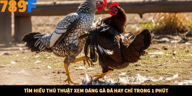 Mẹo Chia Bài 3 Cây Dễ Thắng Tại Trang Chủ 789F 8 Ưu điểm hấp dẫn khi áp dụng thủ thuật xem dáng
