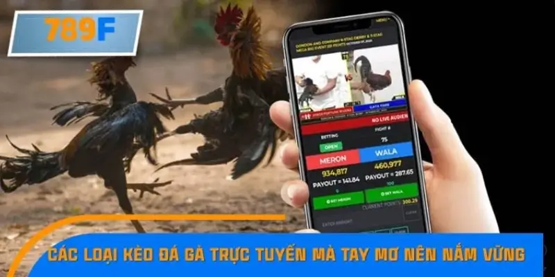 Các loại kèo đá gà trực tuyến mà tay mơ nên nắm vững