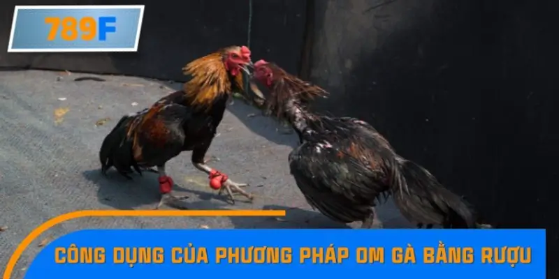 Công dụng của phương pháp om gà bằng rượu thuốc