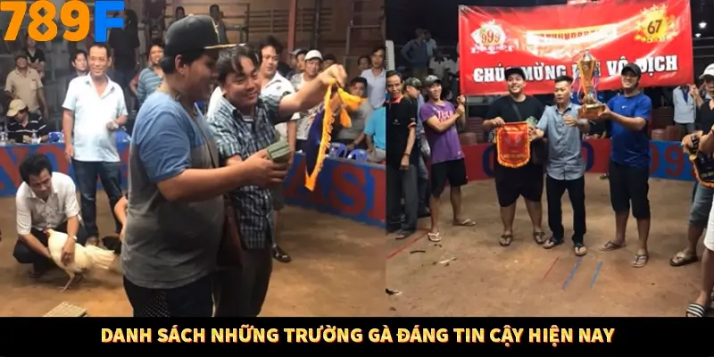 Danh sách những trường gà đáng tin cậy hiện nay