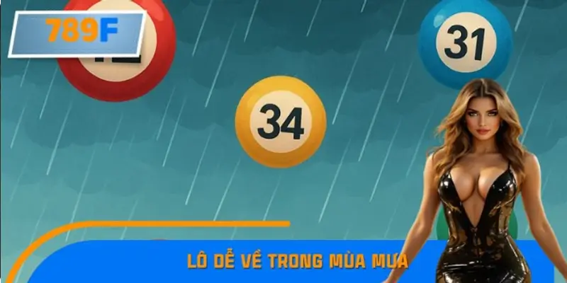 Lô Dễ Về Trong Mùa Mưa Và Kinh Nghiệm Nhận Biết Ở 789F