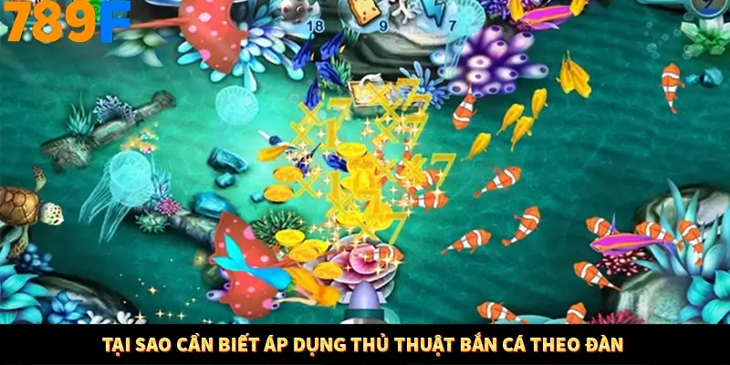Tại sao cần biết áp dụng thủ thuật bắn cá theo đàn