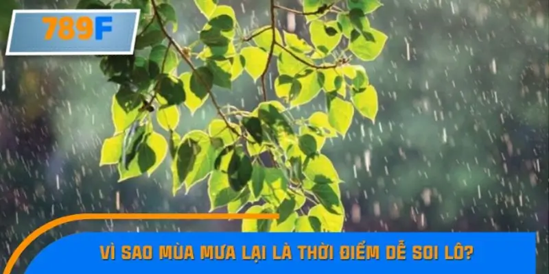 Vì sao mùa mưa lại là thời điểm dễ soi lô?